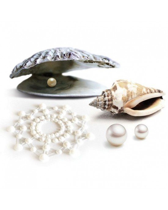 Copricapezzoli perla - Bijoux Indiscrets
